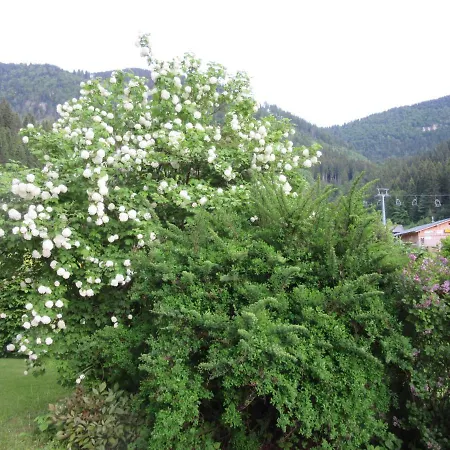Apartamento Haus Margarete Lackenhof Exterior foto