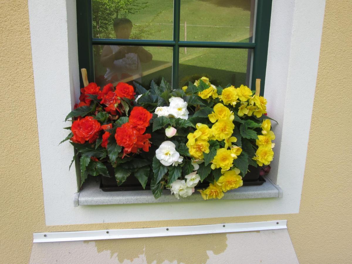 Haus Margarete Apartment *